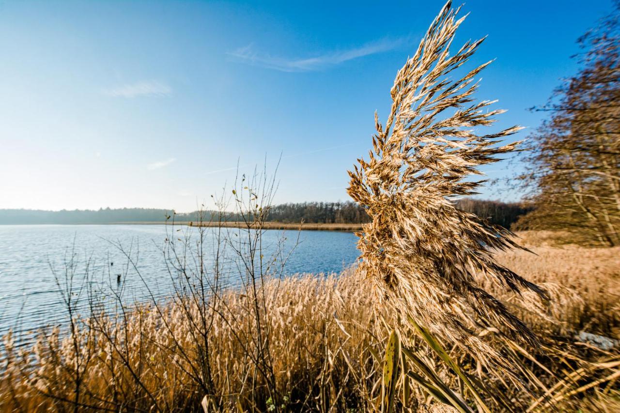 5 Sterne Ferienhaus Direkt Am See Mit Sauna-Kamin-Garten Krakow am See Ngoại thất bức ảnh